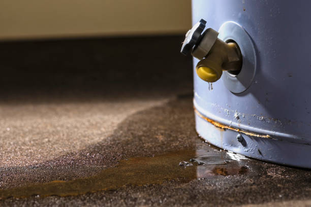Best Water damage mitigation services  in Rancho San Diego, CA