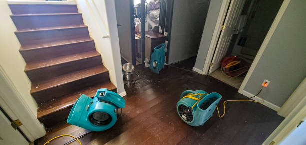 Best 24-hour water damage restoration  in Rancho San Diego, CA