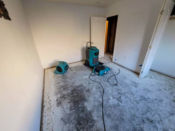 Best Flood damage cleanup  in Rancho San Diego, CA