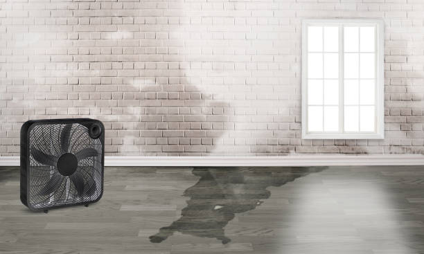 Best Sewage cleanup and water damage restoration  in Rancho San Diego, CA