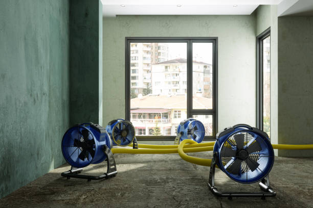 Best Fire Damage Restoration  in Rancho San Diego, CA